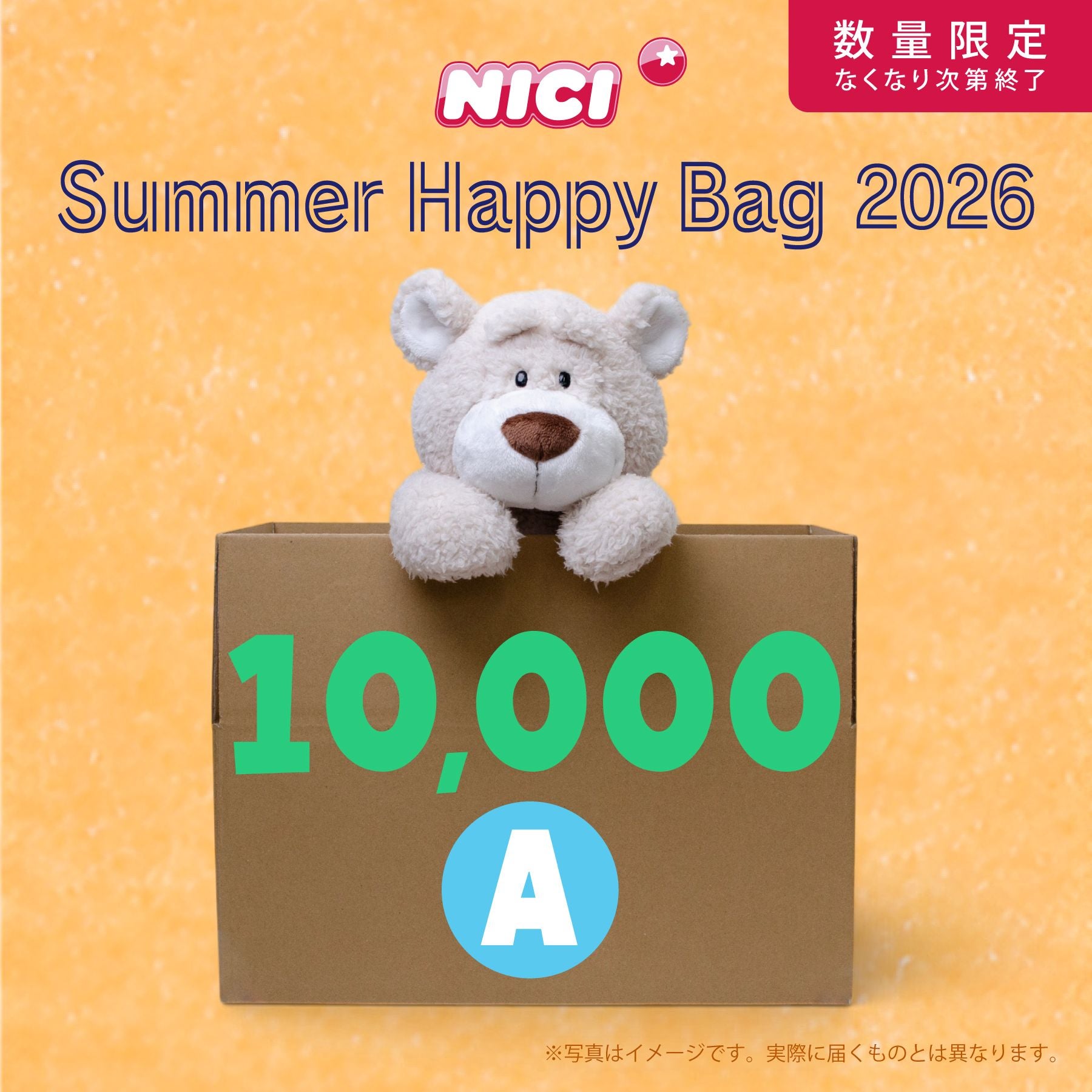 NICIサマーハッピーバッグ10000-A／NICI（ニキ） | entresquare.com
