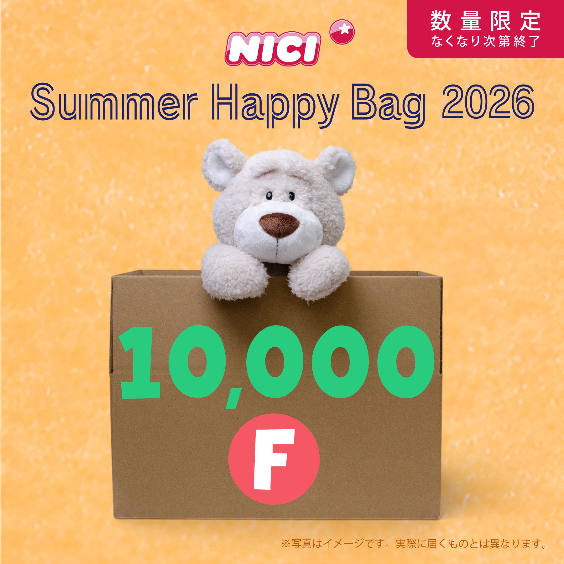 NICIサマーハッピーバッグ5000-F／NICI（ニキ） | entresquare.com