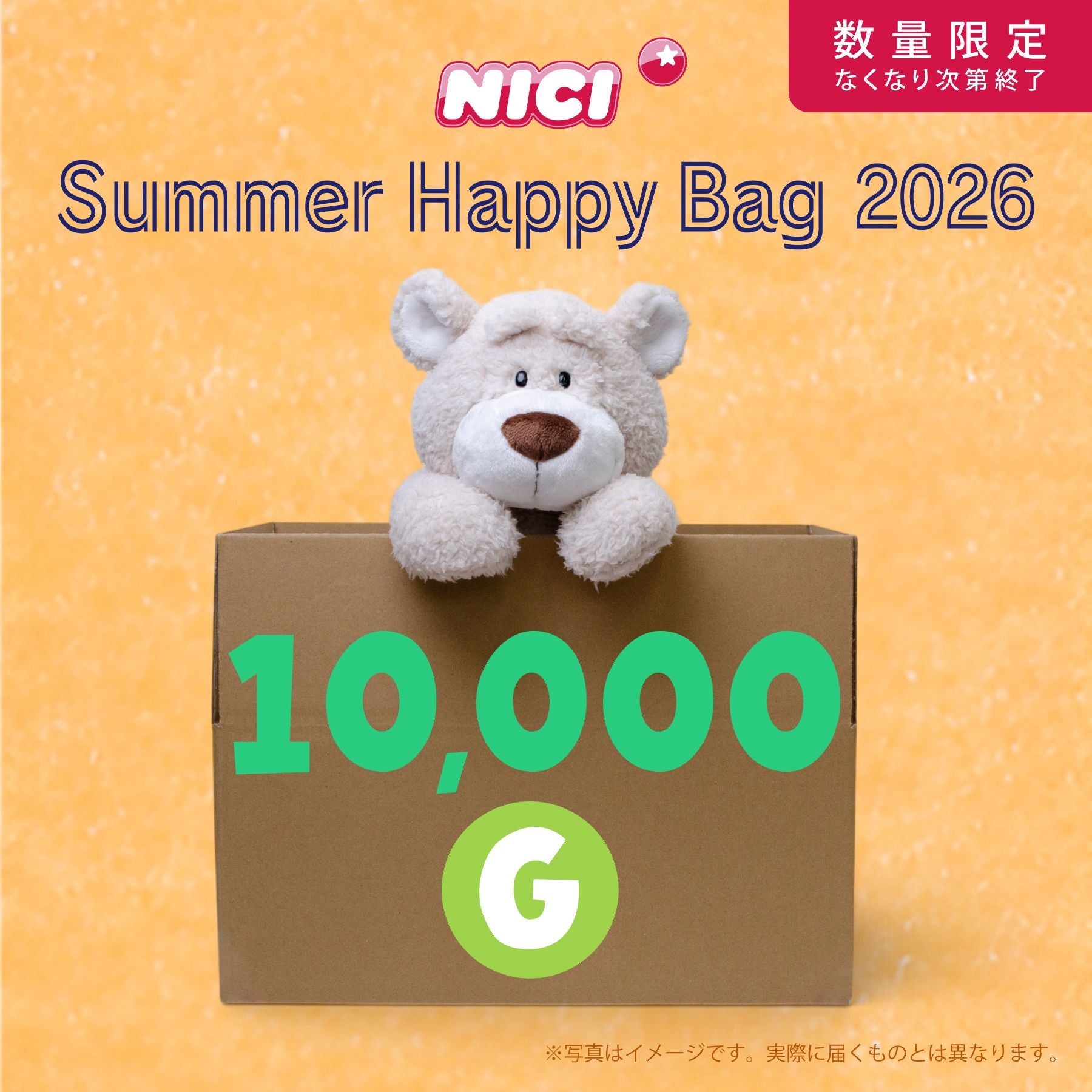 NICIサマーハッピーバッグ10000-F／NICI（ニキ） | entresquare.com
