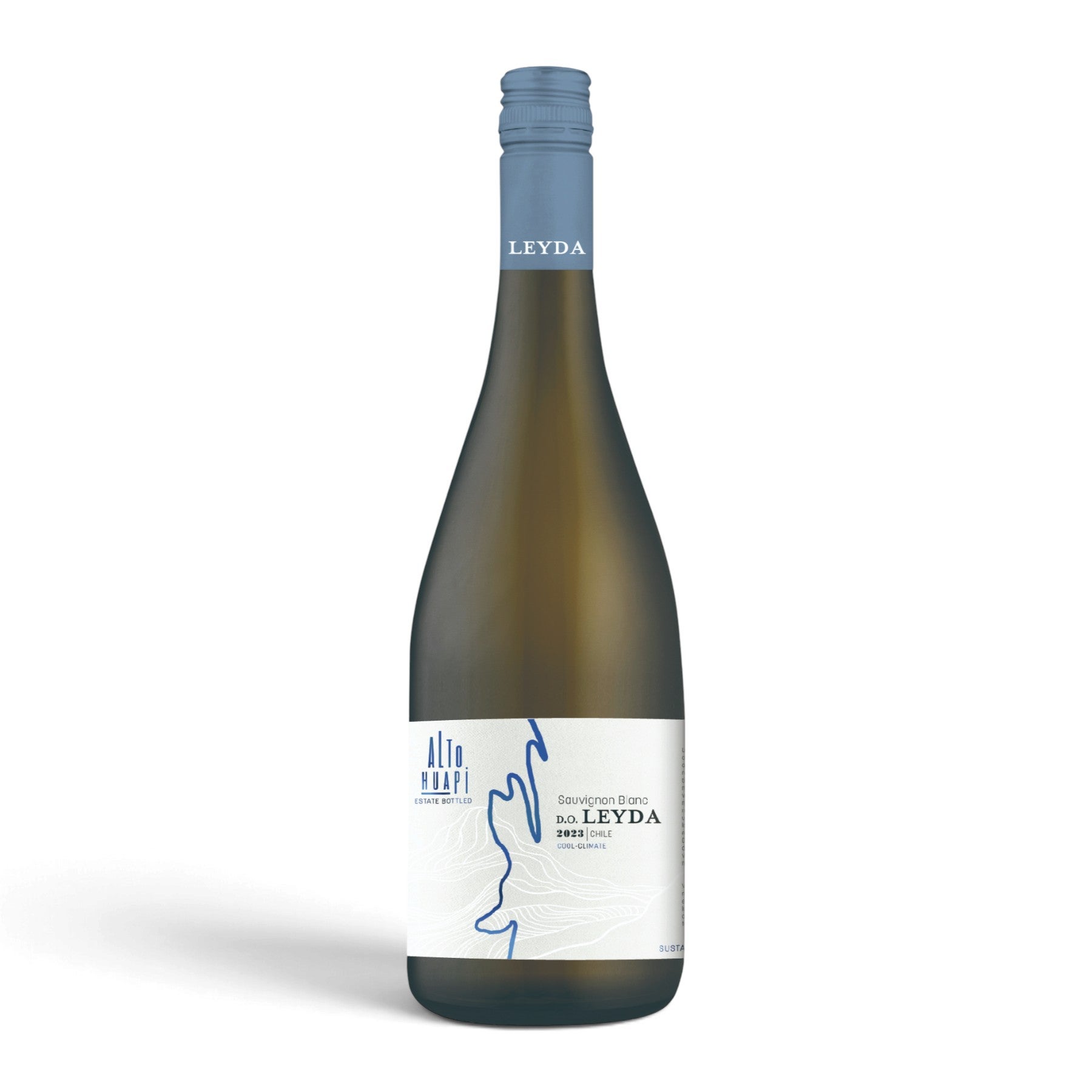 アルト・ワピ ソーヴィニヨンブラン 2025 レイダヴィレー／Wine Time
